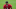 Tua Tagovailoa Tua Tagovailoa