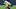 JuJu Smith-Schuster Miami Dolphins (Photo by Stacy Revere/Getty Images) JuJu Smith-Schuster Miami Dolphins (Photo by Stacy Revere/Getty Images)