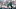Miami Dolphins Miami Dolphins