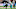 Miami Dolphins Miami Dolphins