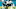 Miami Dolphins Miami Dolphins