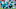Miami Dolphins Tua Tagovailoa (Photo by Cliff Hawkins/Getty Images) Miami Dolphins Tua Tagovailoa (Photo by Cliff Hawkins/Getty Images)