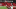 Kyler Murray Kyler Murray