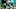 Miami Dolphins Miami Dolphins