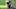 Mike Tomlin Mike Tomlin