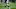 Miami Dolphins Miami Dolphins