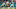 Miami Dolphins Miami Dolphins