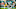 Miami Dolphins
