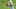 Jun 15, 2021; Miami Gardens, Florida, USA; Miami Dolphins running back Myles Gaskin (37) catches a pass during minicamp at Baptist Health Training Facility. Mandatory Credit: Jasen Vinlove-USA TODAY Sports Jun 15, 2021; Miami Gardens, Florida, USA; Miami Dolphins running back Myles Gaskin (37) catches a pass during minicamp at Baptist Health Training Facility. Mandatory Credit: Jasen Vinlove-USA TODAY Sports