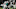 Miami Dolphins Miami Dolphins