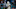 Miami Dolphins Miami Dolphins