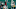 Miami Dolphins Miami Dolphins