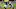 Demarcus Ware Demarcus Ware