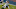 Von Miller Von Miller