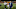 Von Miller Von Miller