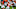 Denver Broncos Denver Broncos