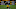 Denver Broncos, PJ Locke Denver Broncos, PJ Locke