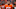 Dalton Risner, Broncos news, Denver Broncos Dalton Risner, Broncos news, Denver Broncos