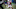 Denver Broncos, Kenyan Drake Denver Broncos, Kenyan Drake