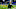 Green Bay Packers Green Bay Packers