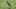 Denver Broncos, Michael Ojemudia Denver Broncos, Michael Ojemudia
