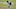 Essang Bassey, Denver Broncos Essang Bassey, Denver Broncos