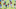 denver broncos news, graham glasgow denver broncos news, graham glasgow