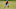 Denver Broncos, Practice squad Denver Broncos, Practice squad
