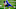 Denver Broncos Denver Broncos