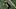 Takkarist McKinley, Denver Broncos Takkarist McKinley, Denver Broncos