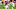Denver Broncos, Melvin Gordon Denver Broncos, Melvin Gordon