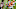 Denver Broncos, Jeff Driskel Denver Broncos, Jeff Driskel