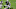 Bryce Callahan, Denver Broncos Bryce Callahan, Denver Broncos