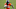 Denver Broncos, Melvin Gordon Denver Broncos, Melvin Gordon