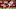 Denver Broncos Cornell Powell Denver Broncos Cornell Powell