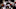 Willis McGahee, Denver Broncos Willis McGahee, Denver Broncos