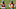 Denver Broncos Denver Broncos