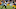 Marlon Brown Marlon Brown