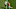 Joe Flacco Shaquil Barrett Joe Flacco Shaquil Barrett