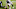 T.J. Ward, Denver Broncos T.J. Ward, Denver Broncos
