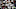 Denver Broncos, Ron Dayne Denver Broncos, Ron Dayne