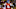 BATON ROUGE, LA – OCTOBER 22: Chad Kelly BATON ROUGE, LA – OCTOBER 22: Chad Kelly