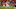 Devontae Booker Devontae Booker