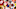 C.J. Anderson C.J. Anderson