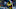 Royce Freeman Royce Freeman