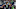 Seattle Seahawks