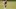 ENGLEWOOD, CO – AUGUST 21: Wide receiver Fred Brown #19 of the Denver Broncos runs a route during a training session at UCHealth Training Center on August 21, 2020, in Englewood, Colorado. (Photo by Justin Edmonds/Getty Images) ENGLEWOOD, CO – AUGUST 21: Wide receiver Fred Brown #19 of the Denver Broncos runs a route during a training session at UCHealth Training Center on August 21, 2020, in Englewood, Colorado. (Photo by Justin Edmonds/Getty Images)