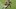 Denver Broncos, Jerry Jeudy Denver Broncos, Jerry Jeudy
