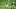 Robby Anderson, Panthers WR Robby Anderson, Panthers WR