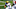 Cameron McGrone, Denver Broncos Cameron McGrone, Denver Broncos